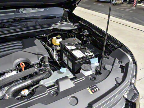 2025�� 2.0T�Զ������촴�� ����