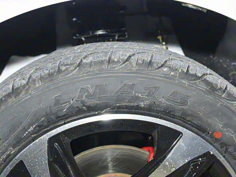 2026�� ������