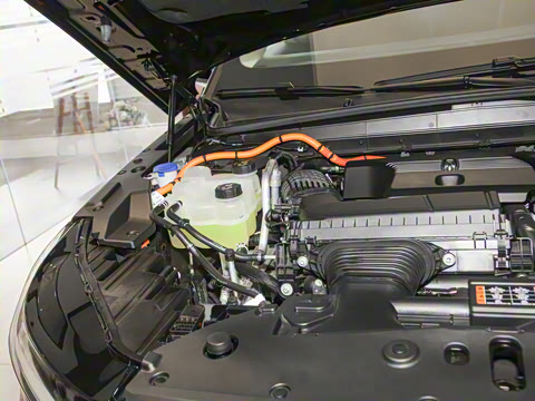 2025�� �Ŀ� 2.0T �������ݻ춯��