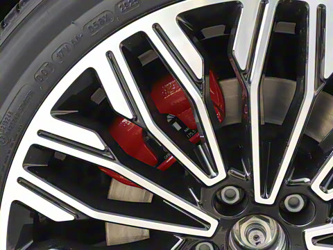 2025�� FREE+ ����Ǭ����