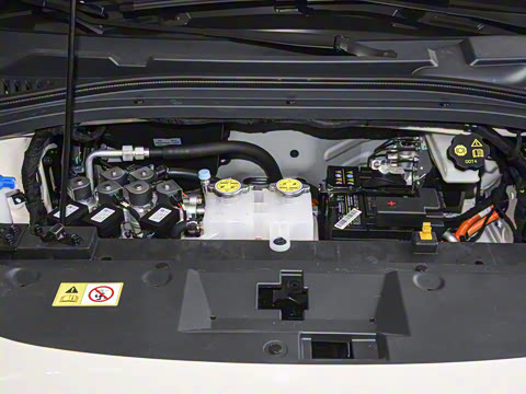 2025�� 505km ������