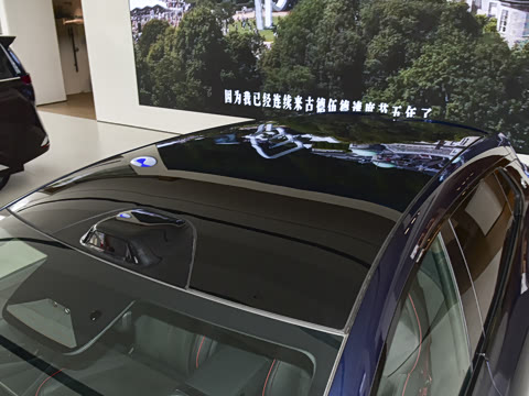 2026�� ����������������
