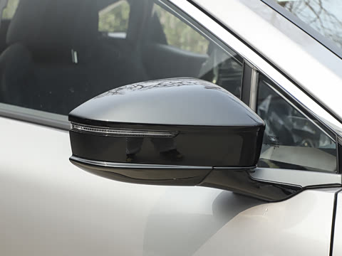 2026�� ������ PRO