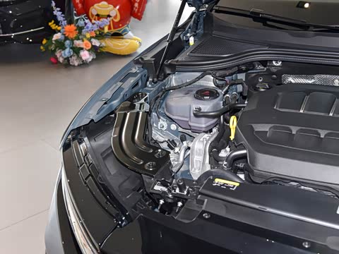 2026�� 380TSI DSG���������