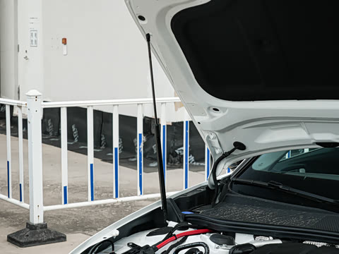 2026�� 2.0T �˶��� Plus