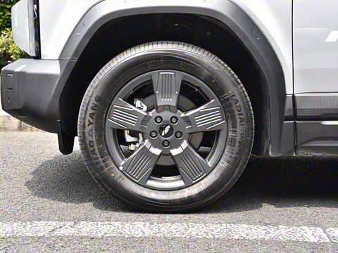 2025�� 520���а�