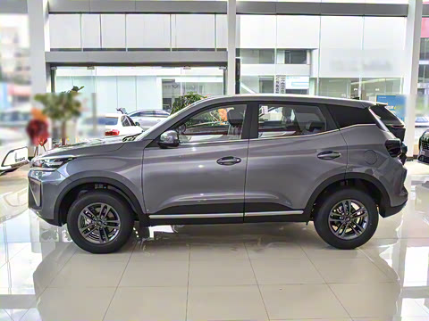 2025�� 1.5L �ֶ���Խ��