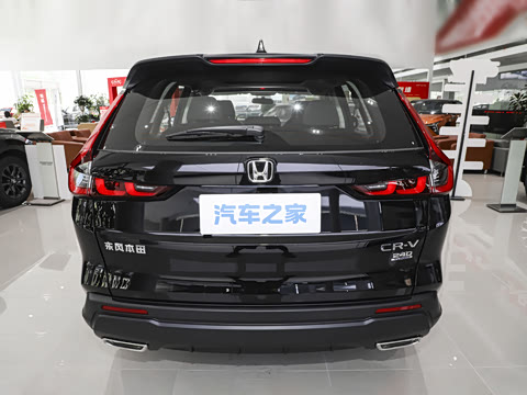 2026�� ȫ��30����ҫ�� 1.5T ��������5����