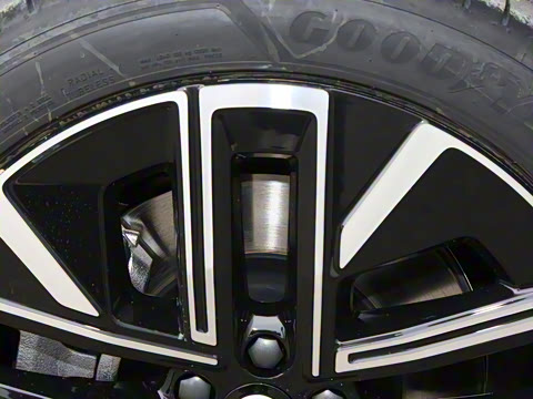 2026�� ������������Plus