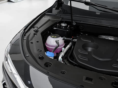 2026�� �ھ��� 1.5T DCT����+ 5��