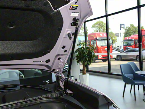 2025�� 501KM ����Max��