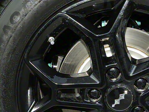 2025�� 501KM ����Max��