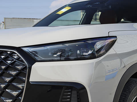 2026�� 290TGDI DCT������ 5��