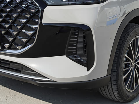 2026�� 290TGDI DCT������ 5��