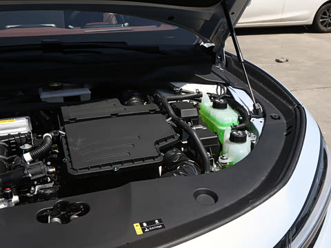 2026�� �ǻ��콢��