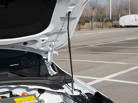 2026�� ������