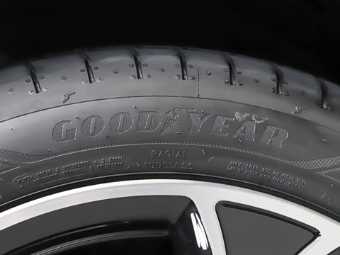 2026�� Z9S �����