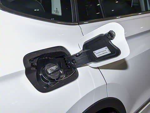 2026�� ���ڿ� 330TSI �Զ�����R-Line��ҫ��