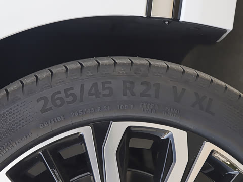 2026�� �������̼�����