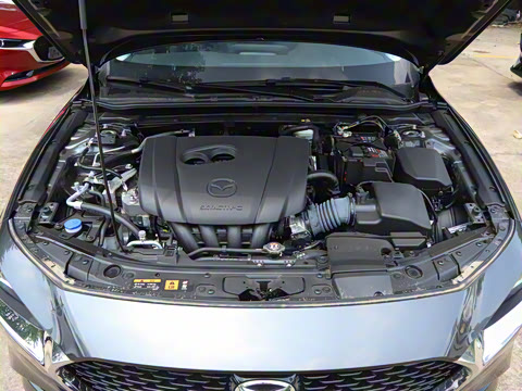 2025�� 2.0L �Զ����Ű�