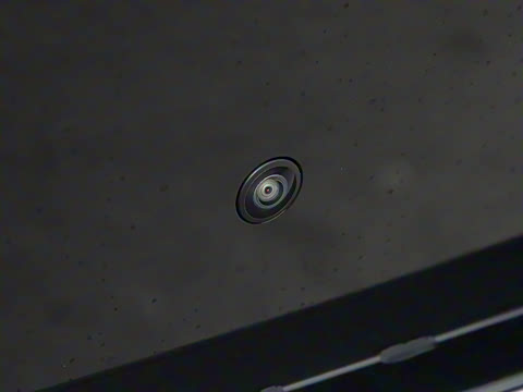 2025�� ���� Max+ ������������ 