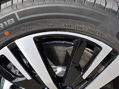 2025�� ������