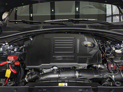 2026�� 250PS Dynamic SE