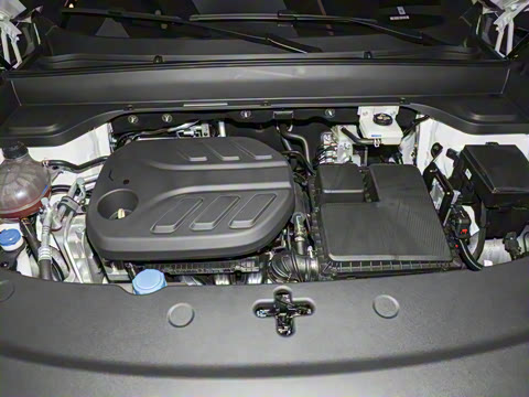 2025�� 145��ҫ��