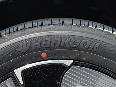 2026�� ������ JOY