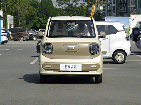 2026�� 222km ��ҫ��