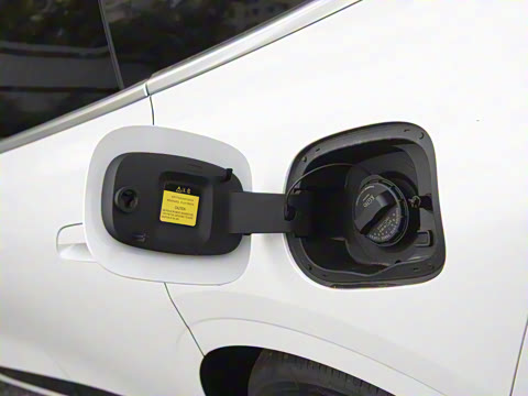 2026�� �����������̰� 310�콢��