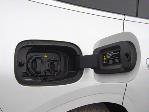 2026�� �����������̰� 310�콢��