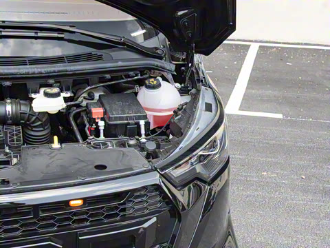 2025�� �Զ�������