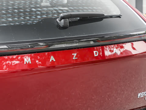 2026�� ����600 Max�˶���