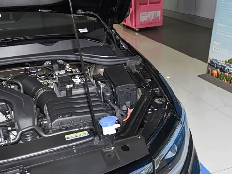 2025�� �Ŀ� 300TSI DSG���а�