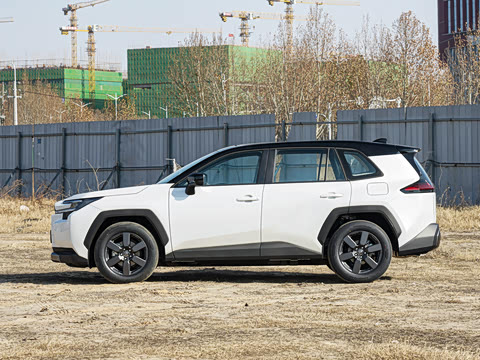 2026�� 2.0L ����������