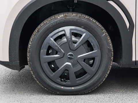 2026�� 305km ������