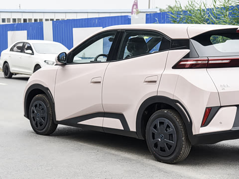 2026�� 305km ������