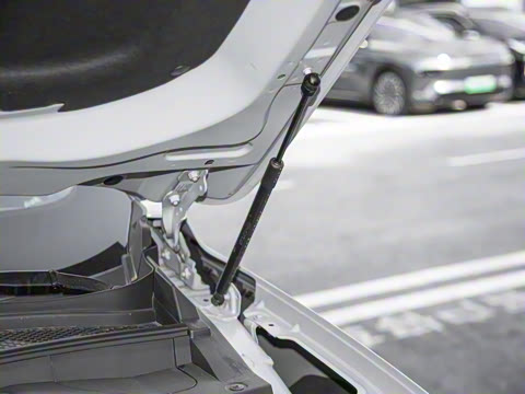 2025�� 100������Plus����