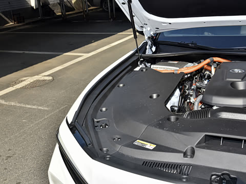 2024�� 2.5L �����