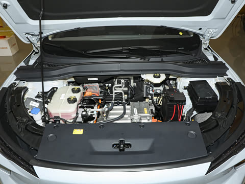 2025�� 565km ������