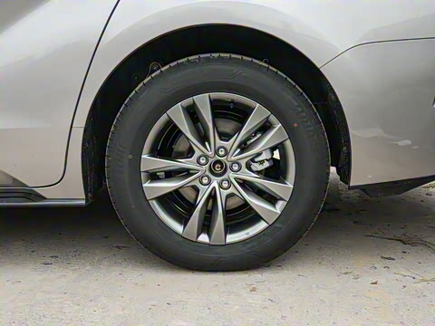 2026�� 2.5L ˫������������