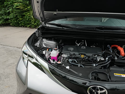 2026�� 2.5L ˫������������