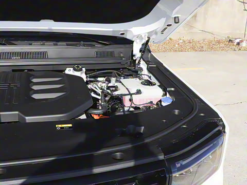 2025�� ������ 5��