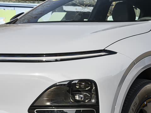 2026�� 625 Max �콢��