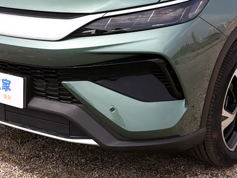 2026�� DM-i 220KM��Խ��