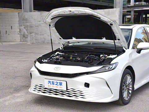 2026�� ˫�� 2.0HGVP ������