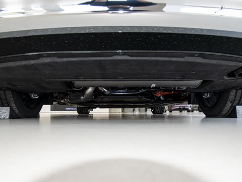 2025�� ���� Max��������