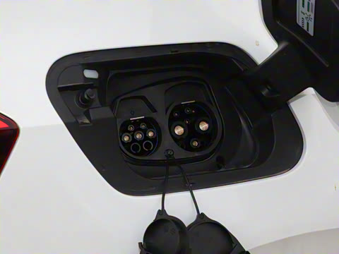 2026�� ������ ���ڰ�