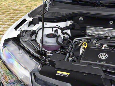 2026�� 280TSI �Զ��ȷ��